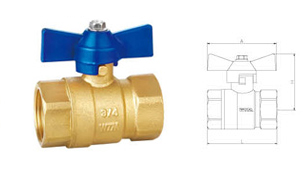 W100 12 Ball valve